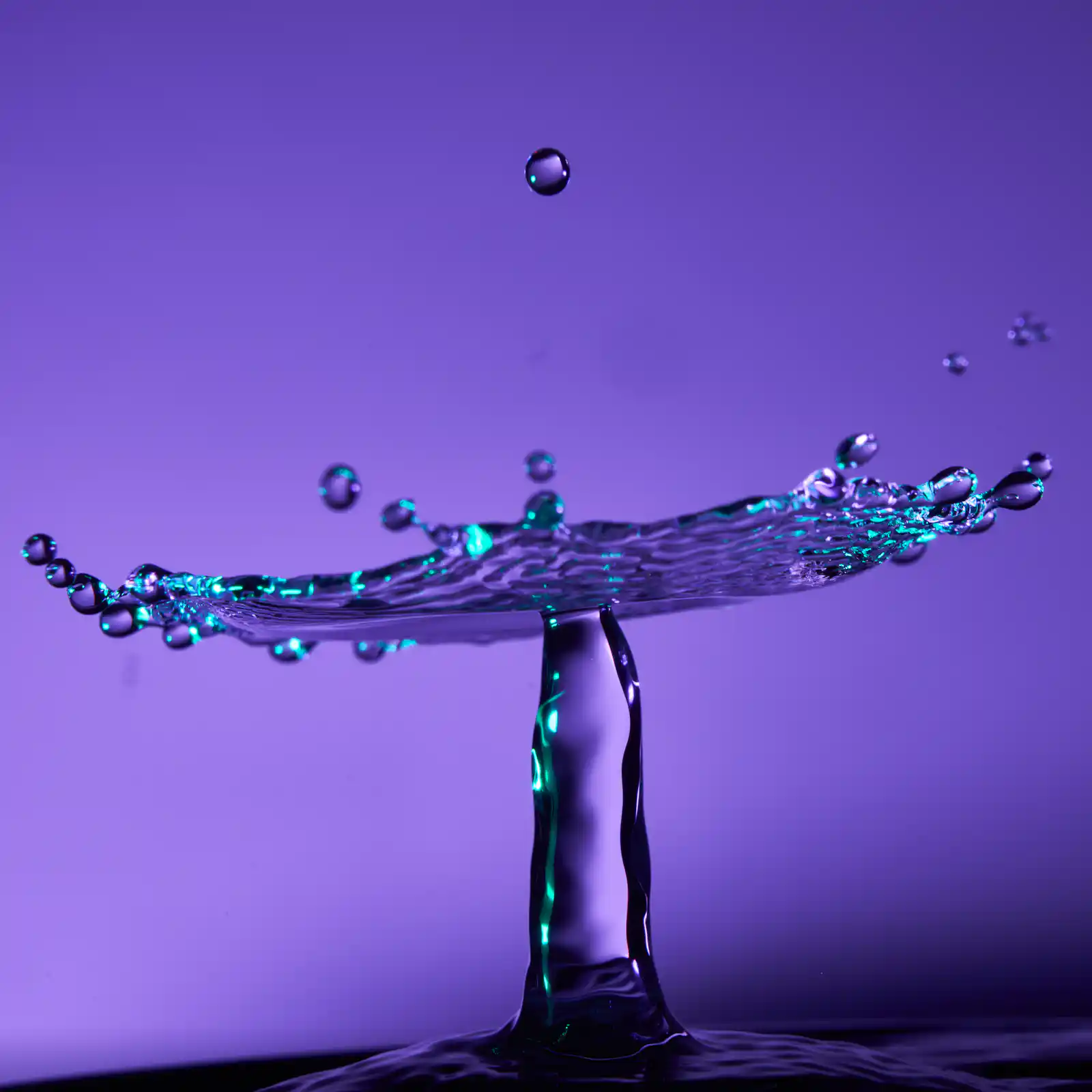 photo 1578559880546 0c3231a2fa6d